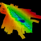 Image for article titled An ancient underwater forest has been discovered in the Gulf of Mexico